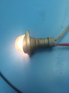 bulb